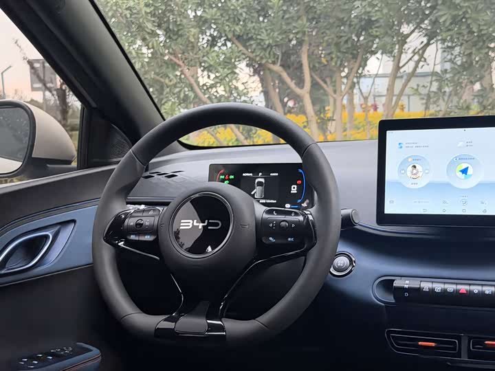 BYD Seagull 2025 2025款 305km 活力版