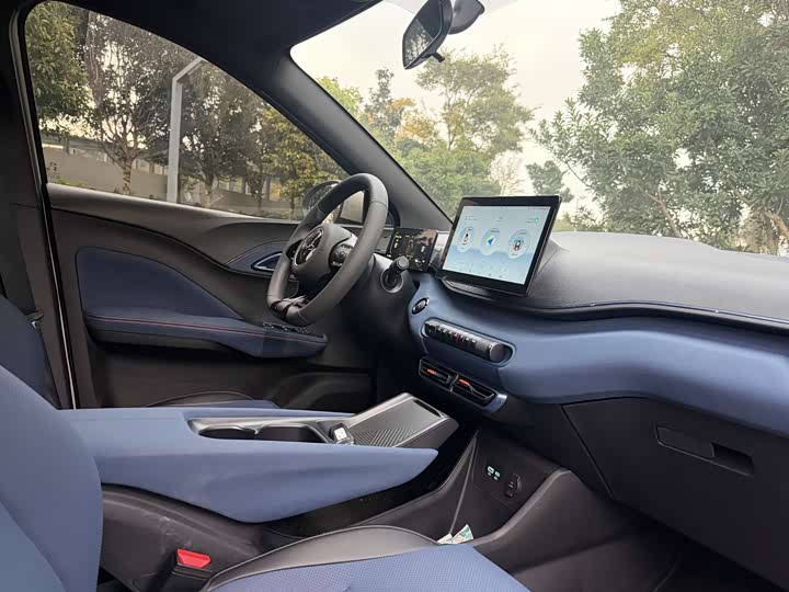 BYD Seagull 2025 2025款 305km 活力版