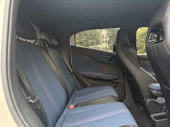 BYD Seagull 2025 2025款 305km 活力版