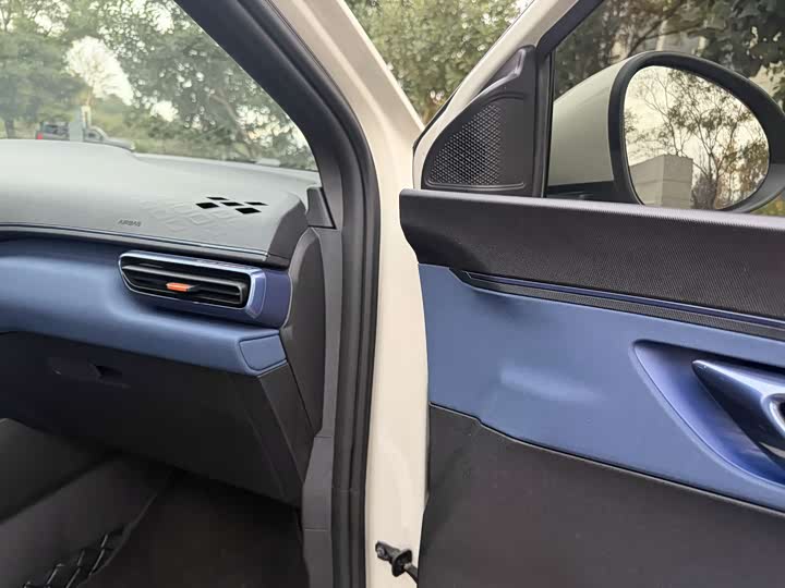 BYD Seagull 2025 2025款 305km 活力版