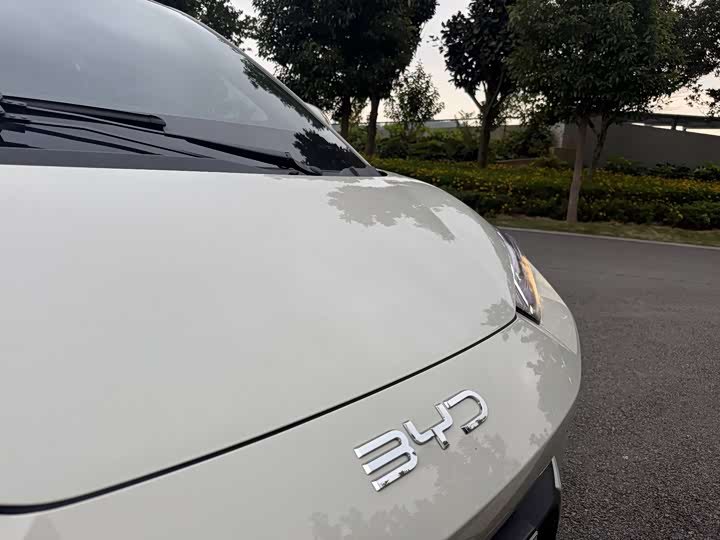 BYD Seagull 2025 2025款 305km 活力版