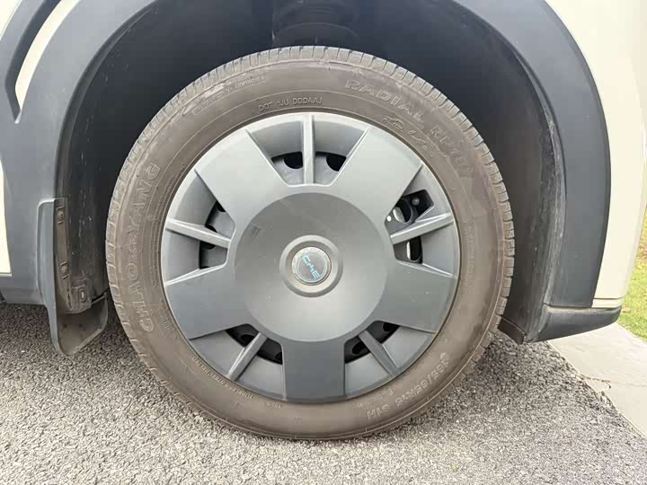 BYD Seagull 2025 2025款 305km 活力版