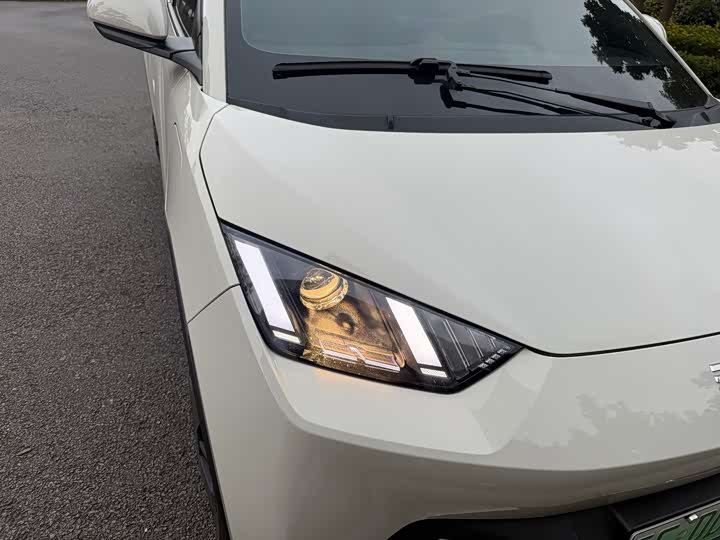 BYD Seagull 2025 2025款 305km 活力版