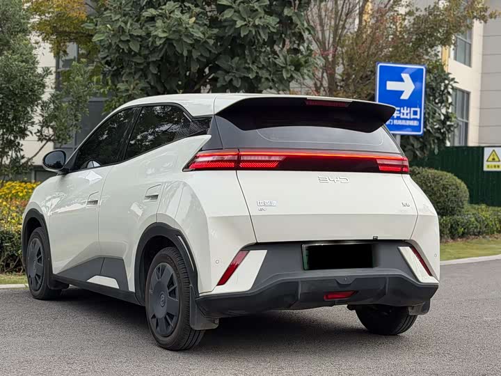 BYD Seagull 2025 2025款 305km 活力版