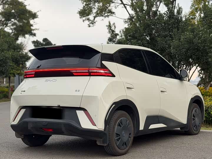 BYD Seagull 2025 2025款 305km 活力版