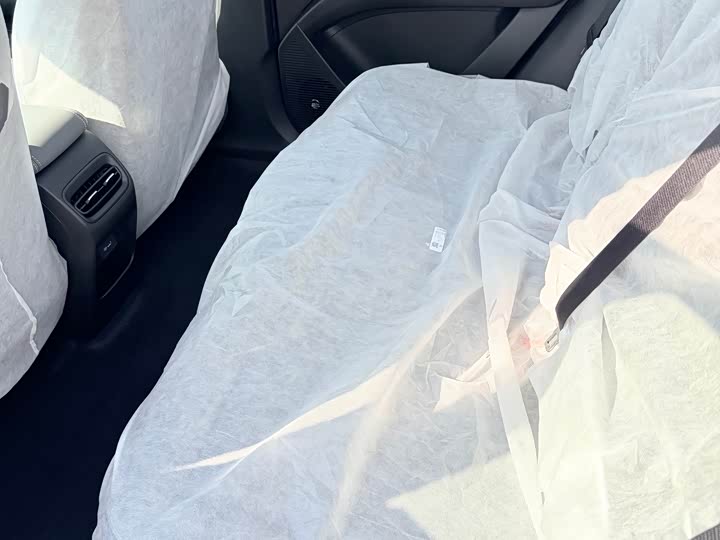 Geely Galaxy Geome 2026 2026款 310km 梦想版