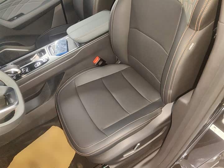 Geely Okavango L 2024 2024款 2.0T DCT尊贵型