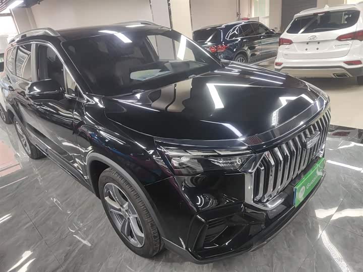 Geely Okavango L 2024 2024款 2.0T DCT尊贵型