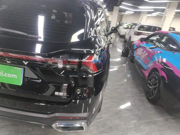 Geely Okavango L 2024 2024款 2.0T DCT尊贵型