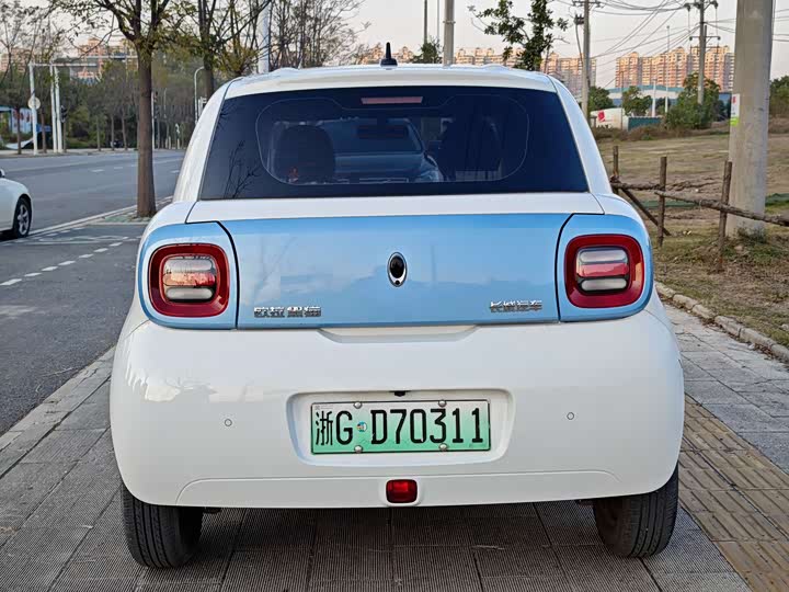 Ora Black Cat 2022 2022款 301km 基础型 三元锂