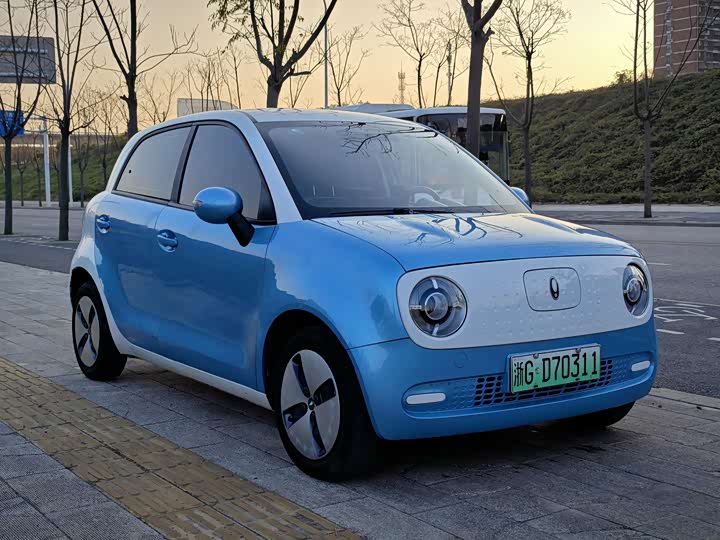 Ora Black Cat 2022 2022款 301km 基础型 三元锂