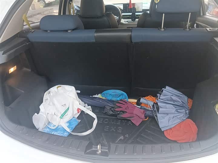 Geely Geometry EX3 2021 2021款 功夫牛牛