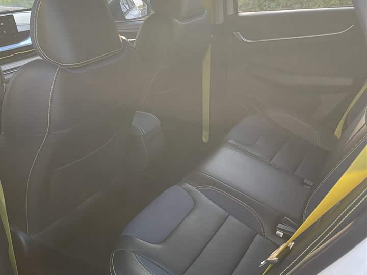 Geely Geometry EX3 2021 2021款 功夫牛牛