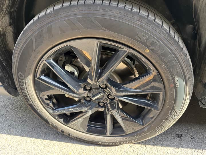 Haval H6 2024 2024款 1.5T 两驱Pro