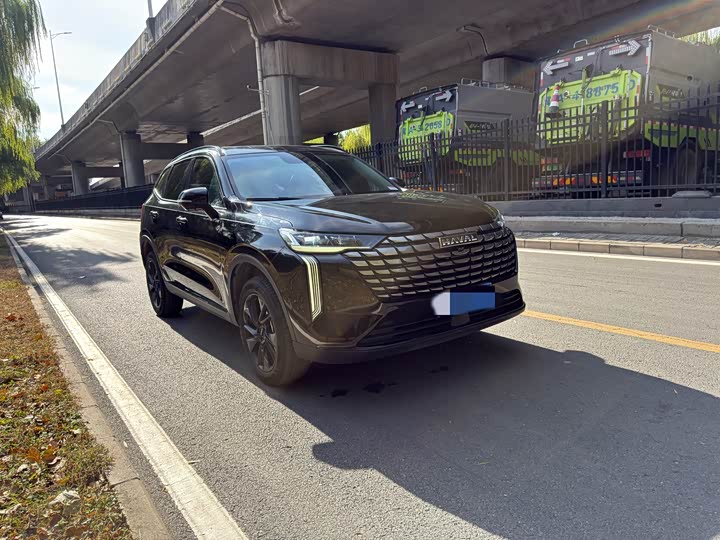 Haval H6 2024 2024款 1.5T 两驱Pro