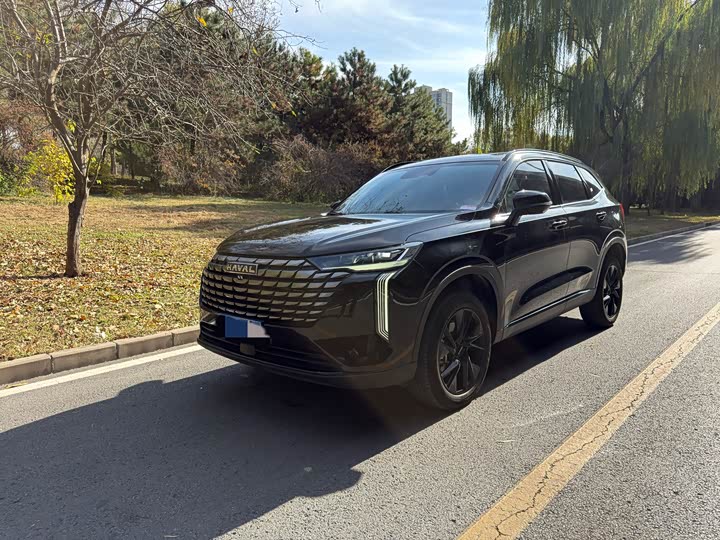 Haval H6 2024 2024款 1.5T 两驱Pro