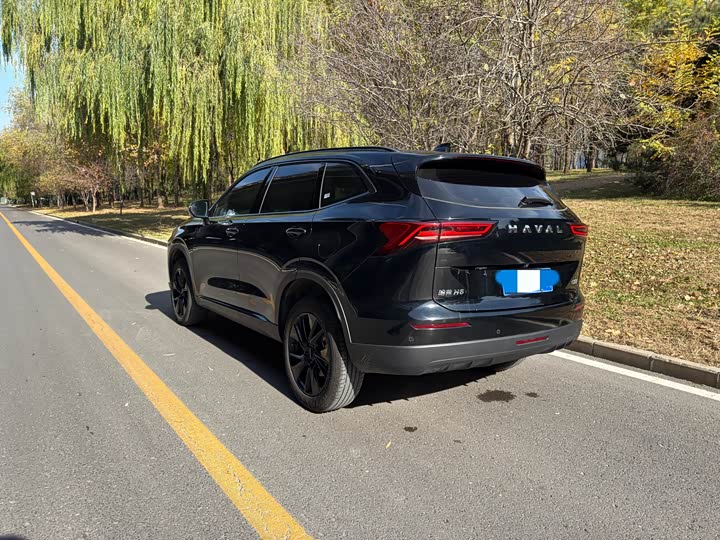 Haval H6 2024 2024款 1.5T 两驱Pro
