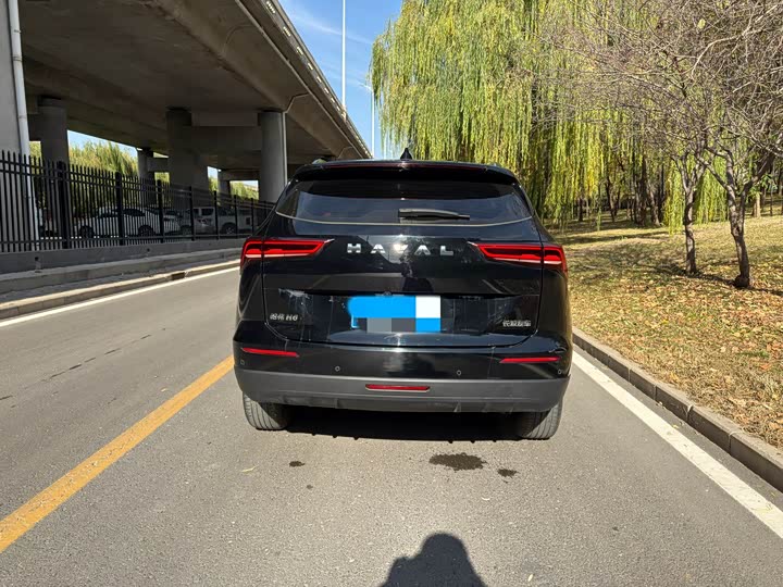 Haval H6 2024 2024款 1.5T 两驱Pro