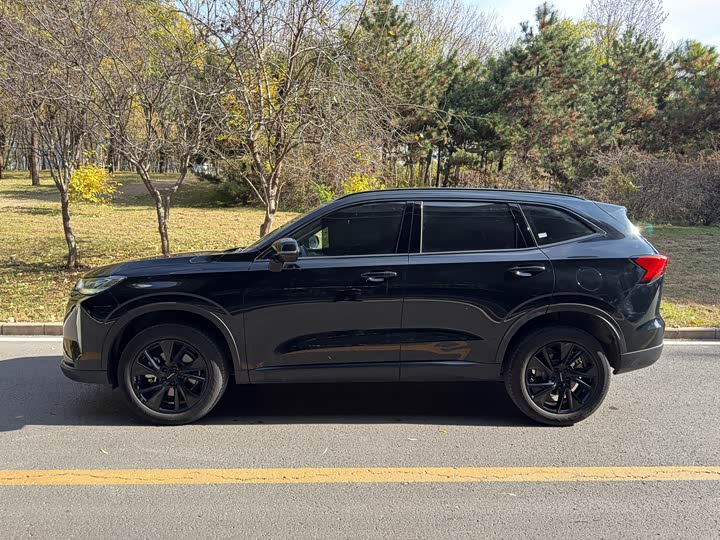 Haval H6 2024 2024款 1.5T 两驱Pro