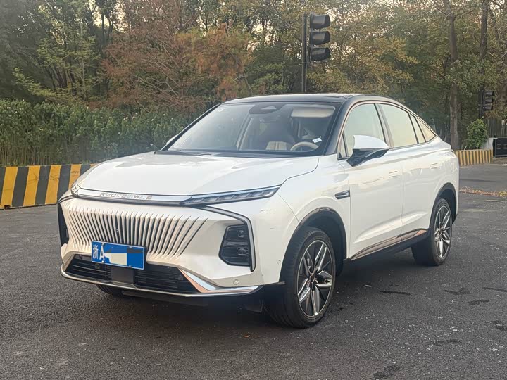 2022 Roewe Whale
