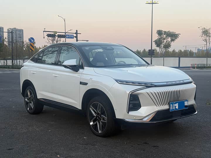 2022 Roewe Whale