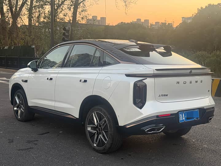 2022 Roewe Whale