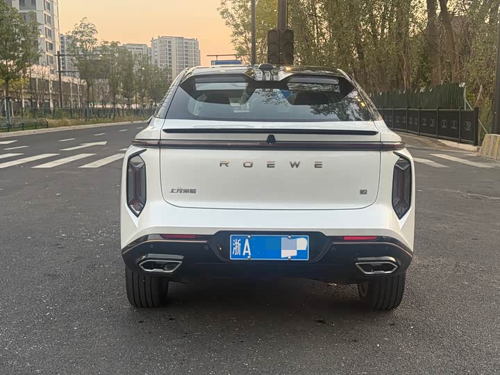 2022 Roewe Whale