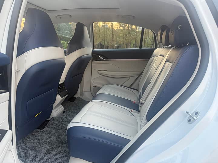 Roewe Whale 2022 2022款 2.0T 蓝鲸版