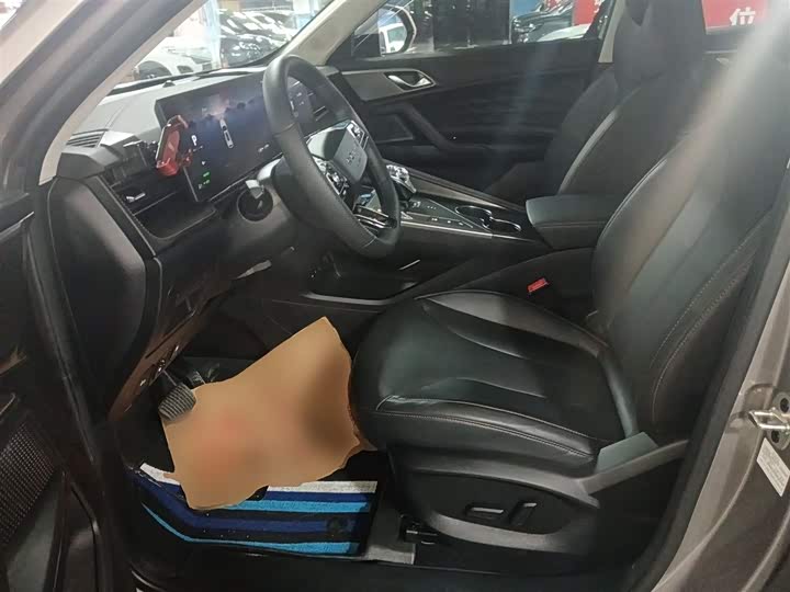 Roewe RX5 Hybrid 2023 2023款 eRX5 超混尊荣版