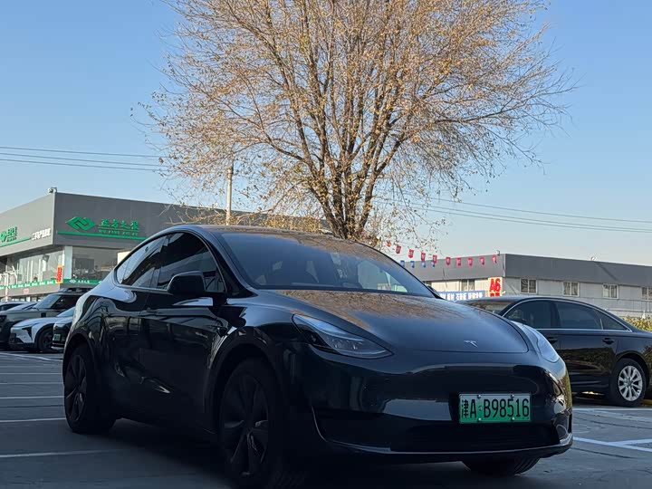 Tesla Model Y 2024 2024款 后轮驱动版