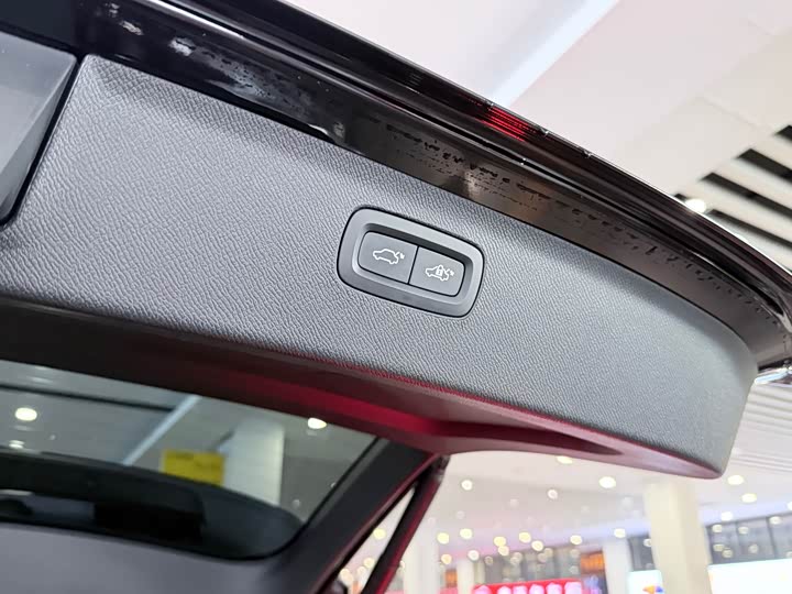 Volvo XC90 Hybrid 2021 2021款 E驱混动 T8 智尊豪华版 7座