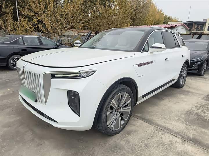 Hongqi E-HS9 2022 2022款 690km 旗享版 六座