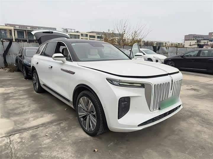 Hongqi E-HS9 2022 2022款 690km 旗享版 六座
