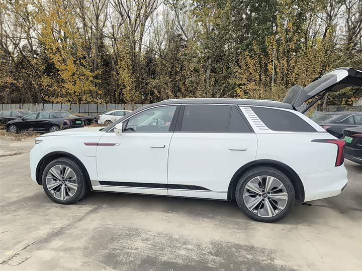 Hongqi E-HS9 2022 2022款 690km 旗享版 六座