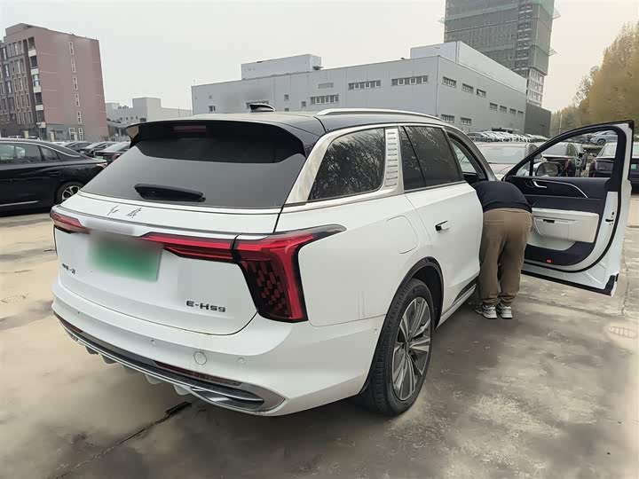 Hongqi E-HS9 2022 2022款 690km 旗享版 六座