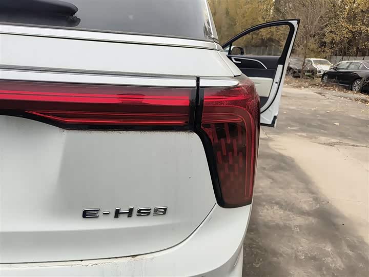 Hongqi E-HS9 2022 2022款 690km 旗享版 六座