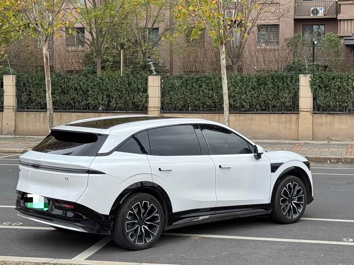 Zeekr 7X 2025 2025款 75kWh 后驱智驾版