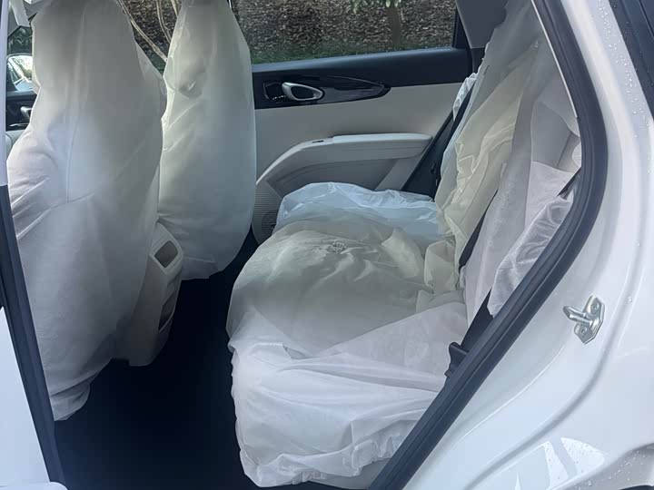 Geely Galaxy Geome 2026 2026款 310km 青春版