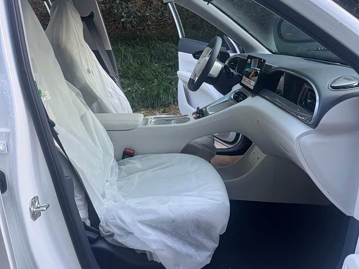 Geely Galaxy Geome 2026 2026款 310km 青春版