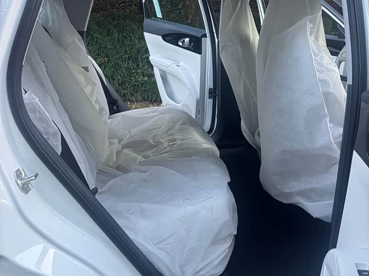 Geely Galaxy Geome 2026 2026款 310km 青春版