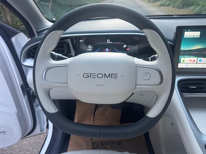 Geely Galaxy Geome 2026 2026款 310km 青春版
