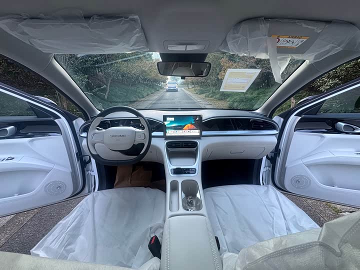 Geely Galaxy Geome 2026 2026款 310km 青春版