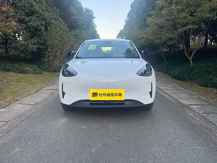 Geely Galaxy Geome 2026 2026款 310km 青春版