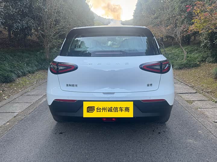Geely Galaxy Geome 2026 2026款 310km 青春版