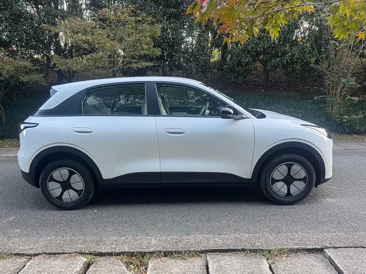 Geely Galaxy Geome 2026 2026款 310km 青春版