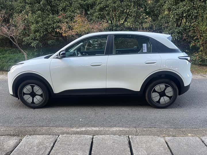 Geely Galaxy Geome 2026 2026款 310km 青春版