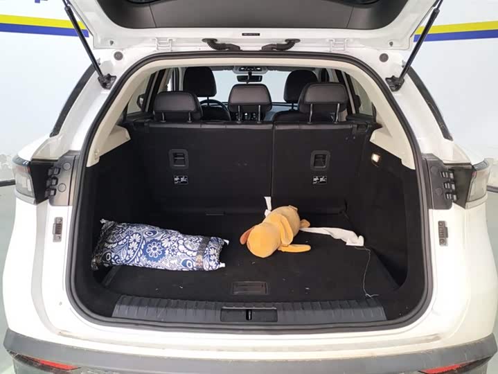 Beijing X7 2022 2022款 1.5TD DCT致尚版