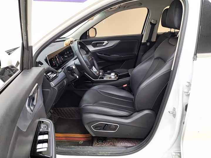 Beijing X7 2022 2022款 1.5TD DCT致尚版