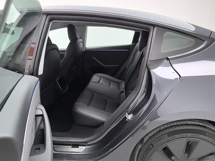 Tesla Model 3 2023 2023款 长续航全轮驱动版