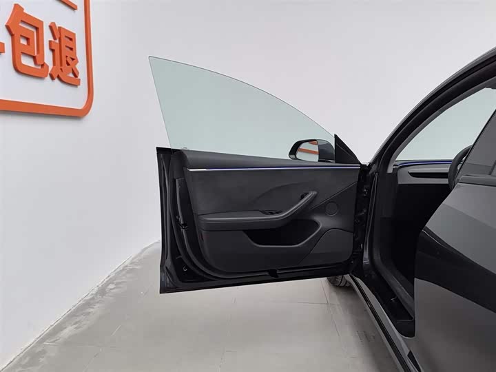 Tesla Model 3 2023 2023款 长续航全轮驱动版